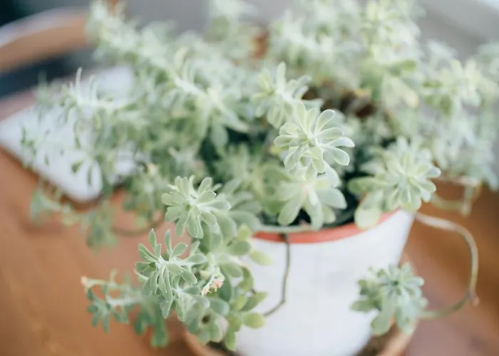 Apartment Attic Next To Agios Nikita's Agios Nikitas